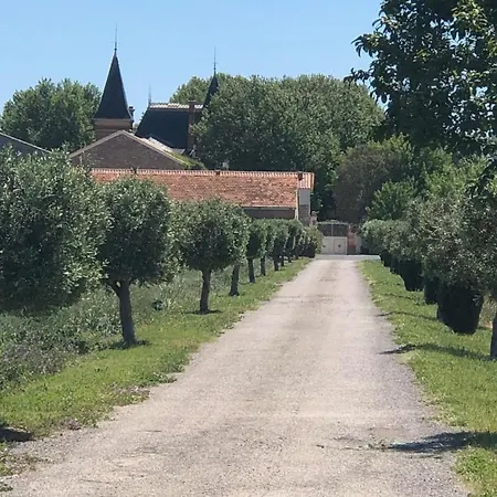 Chateau De La Prade بيت ضيافة ناربون